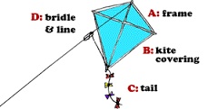 go fly a kite 2